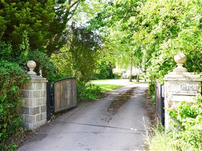 Picture 43